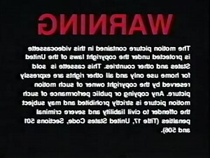 1992 属相